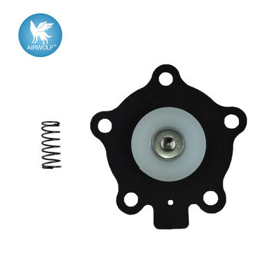 K2000 K2007 repair kits For CA20DD CA20T RCA20DD RCA20T for Goyen pulse valve RCA20 CA-20T